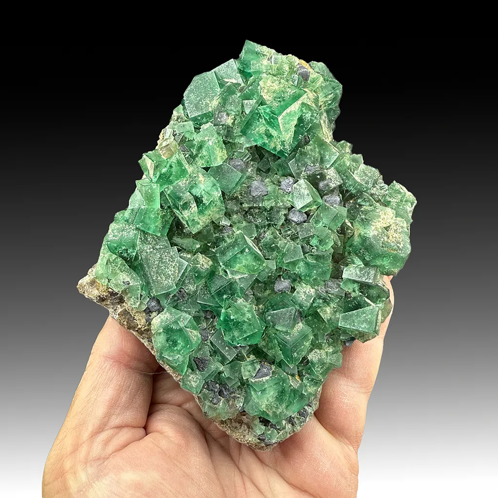 Fluorite with Galena image
