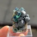 Fluorite with Galena - image 5