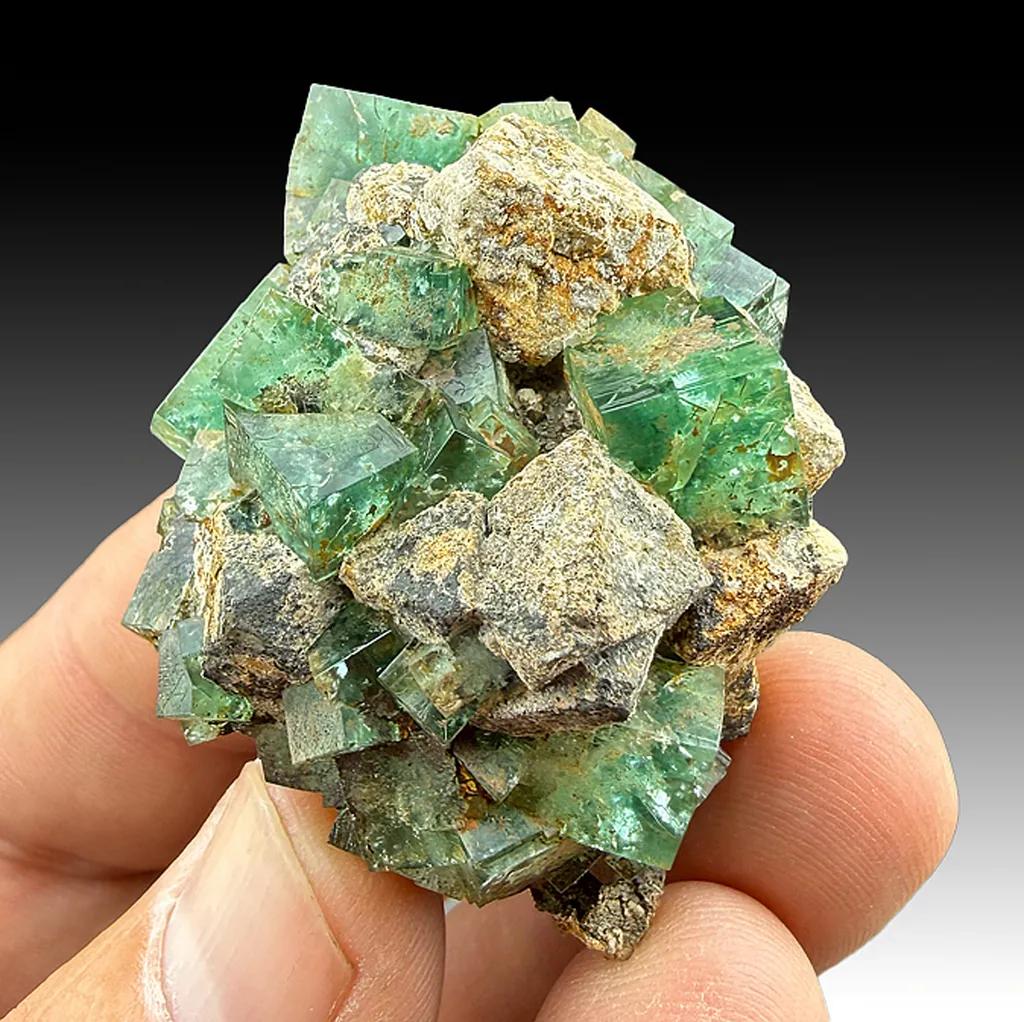 Fluorite with Galena image