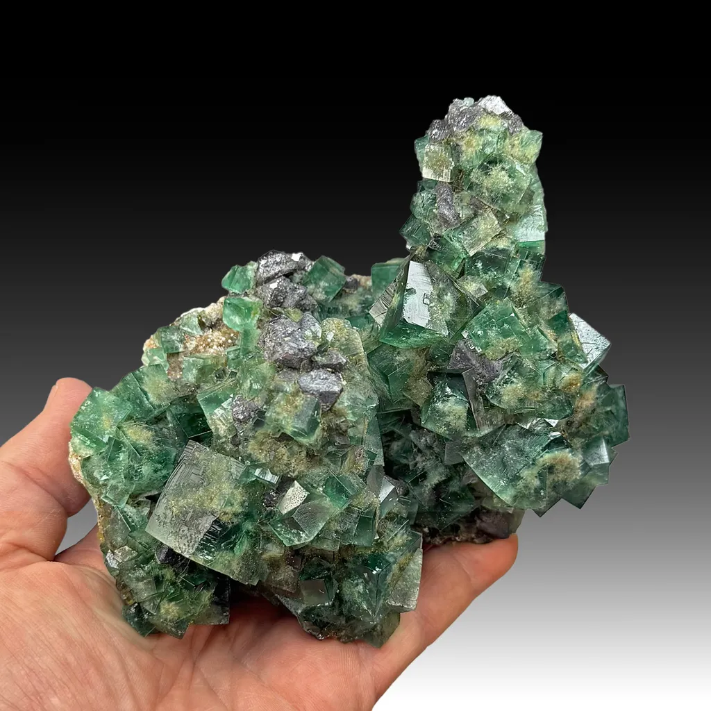 Fluorite with Galena image