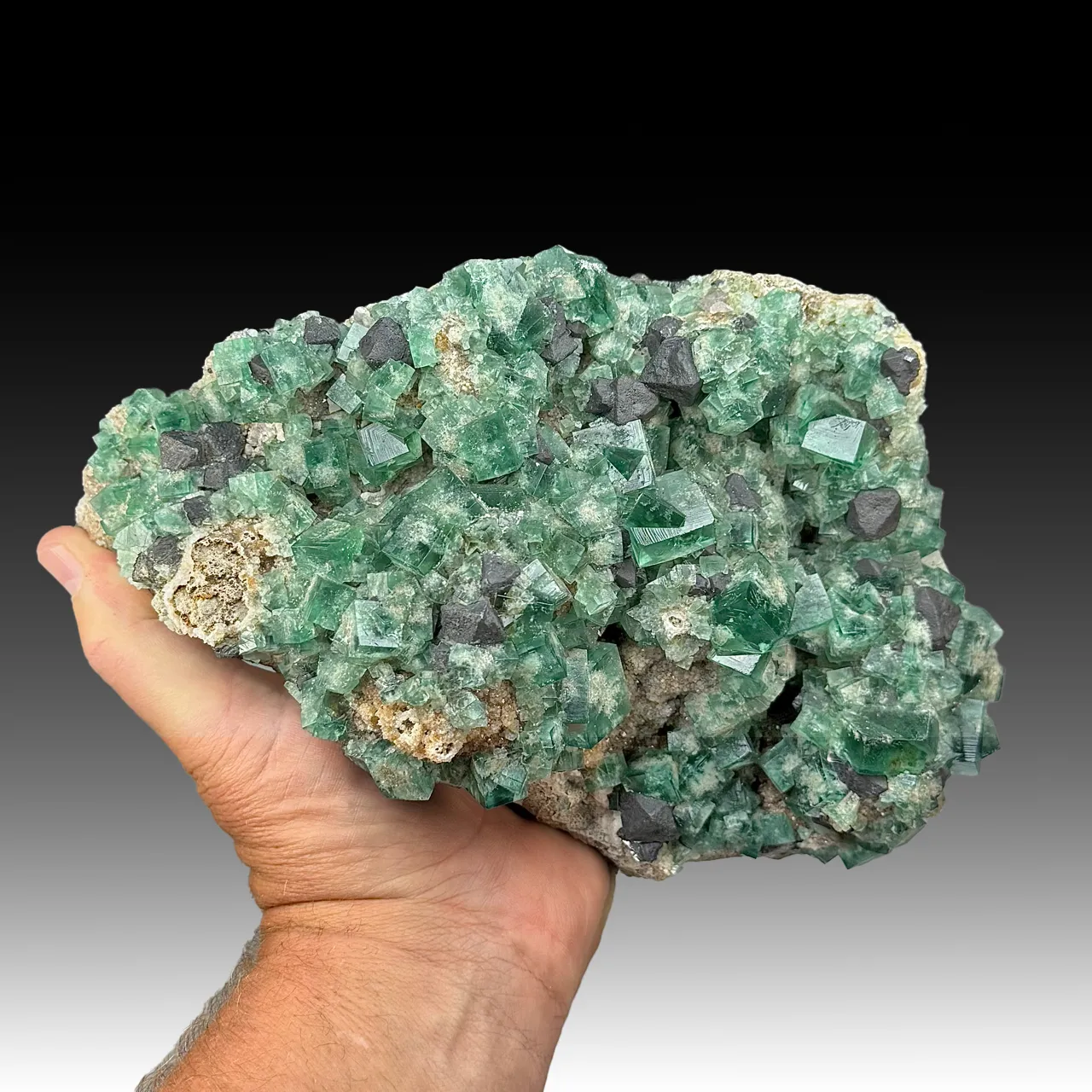 Fluorite with Galena - image 1