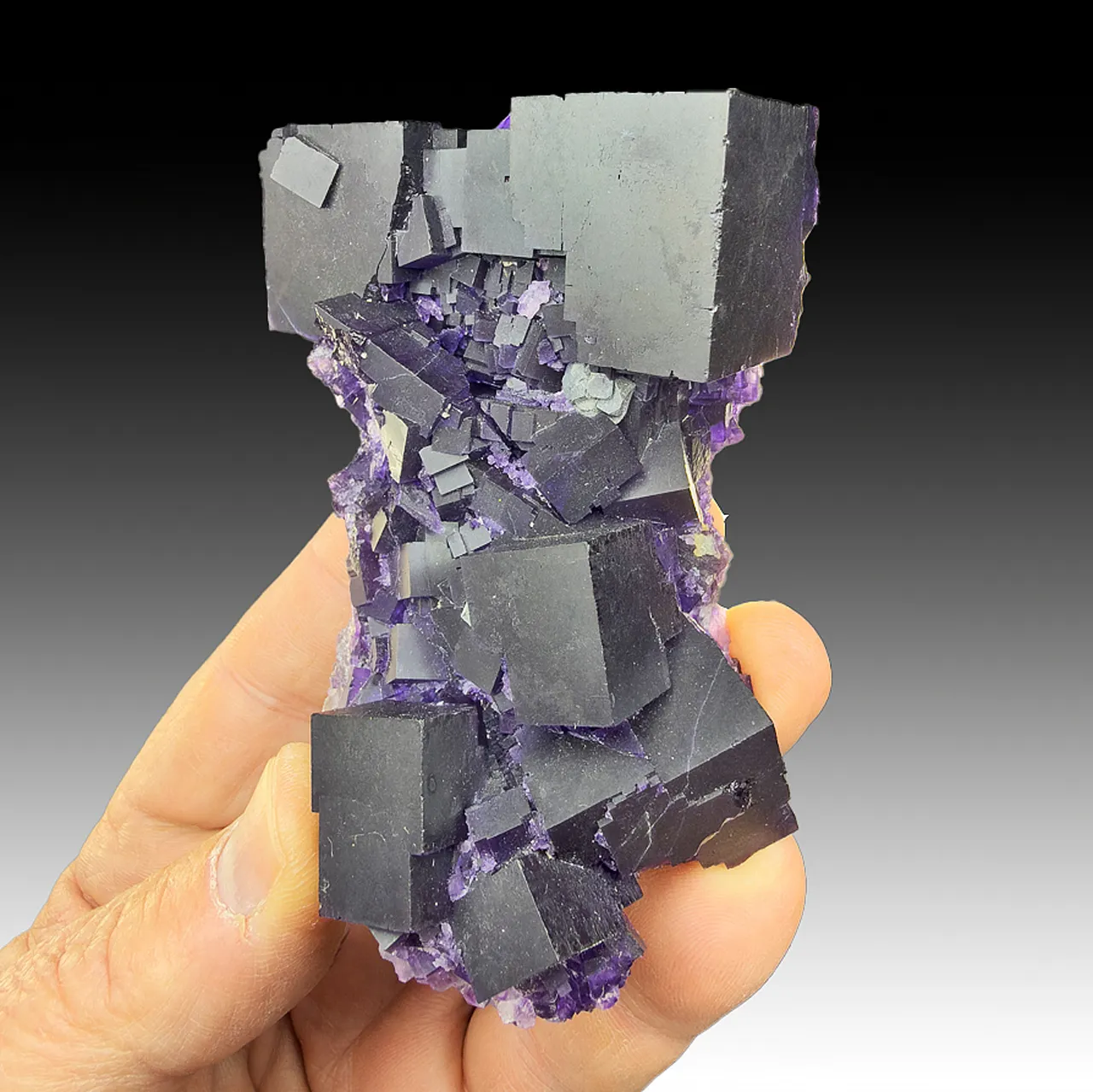 Fluorite with Galena - image 1