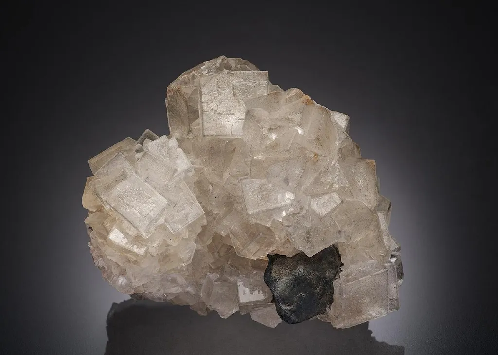 Fluorite with Galena image