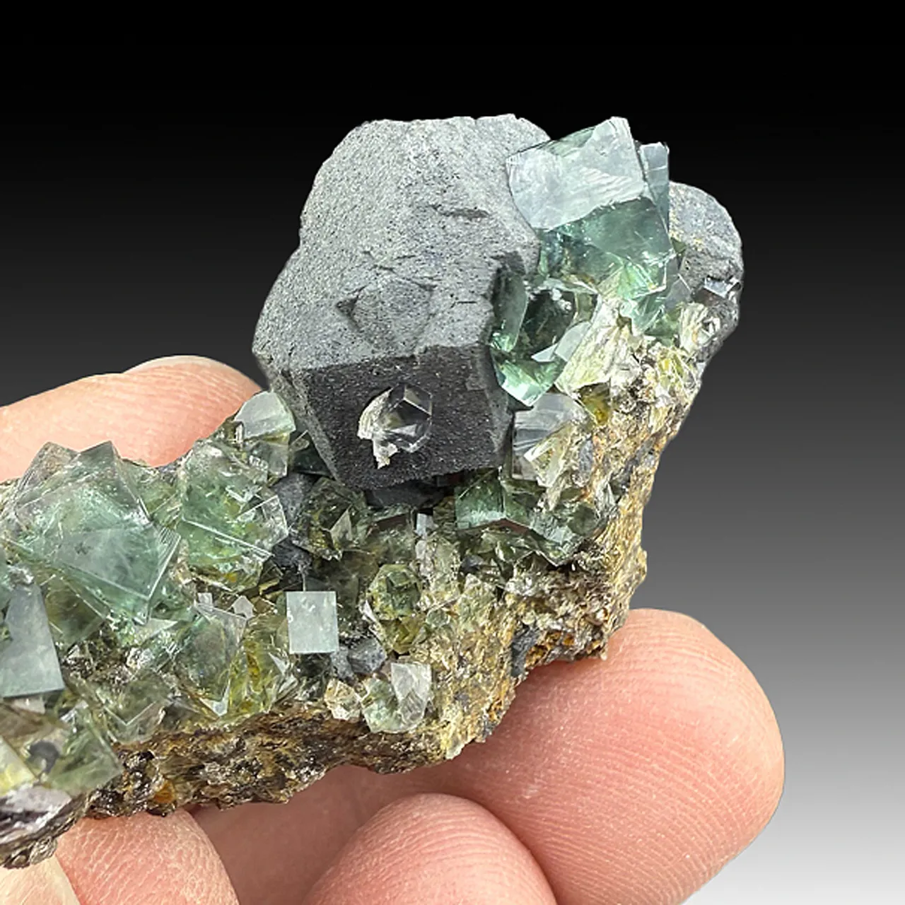 Fluorite with Galena - image 1