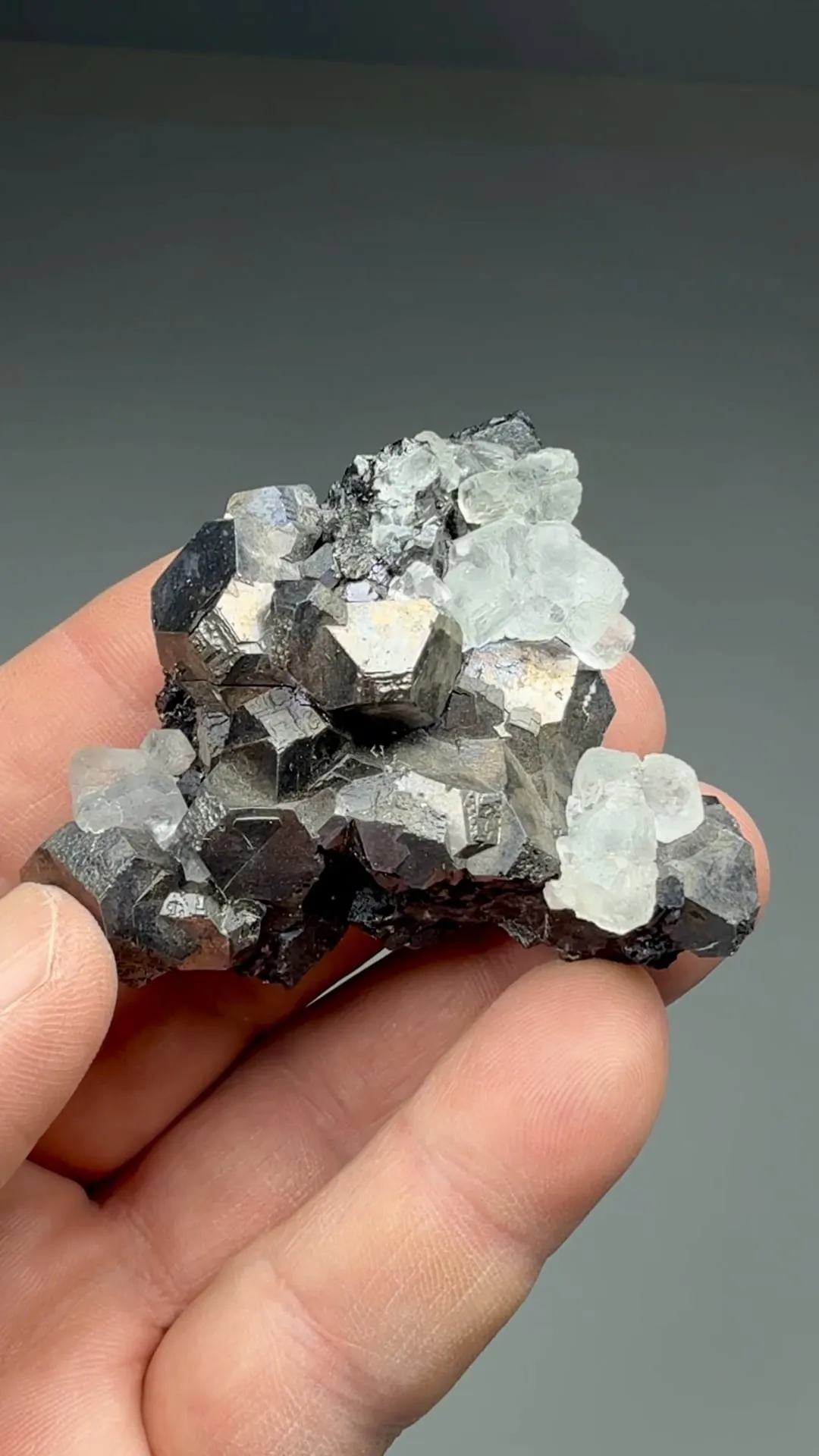 Fluorite with Galena - image 2