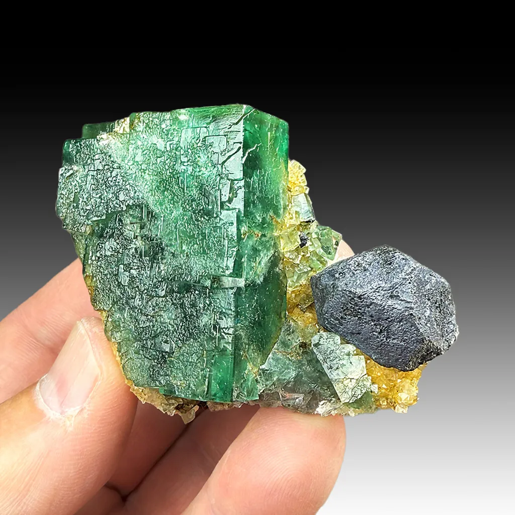Fluorite with Galena image