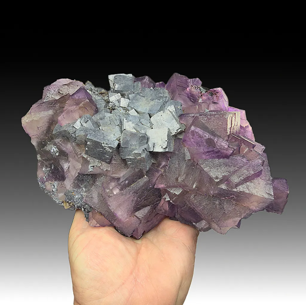 Fluorite with Galena image