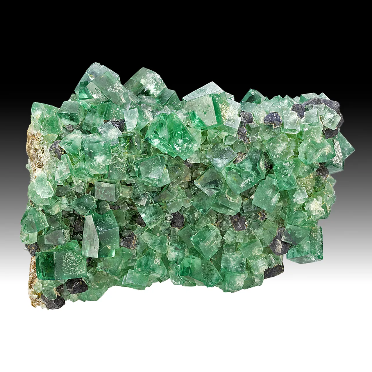 Fluorite with Galena - image 1