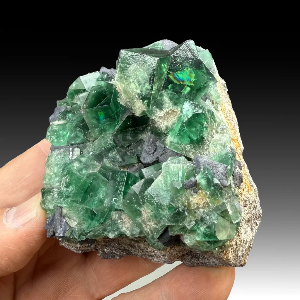 Fluorite with Galena image