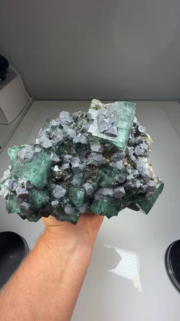 Fluorite with Galena - image 2