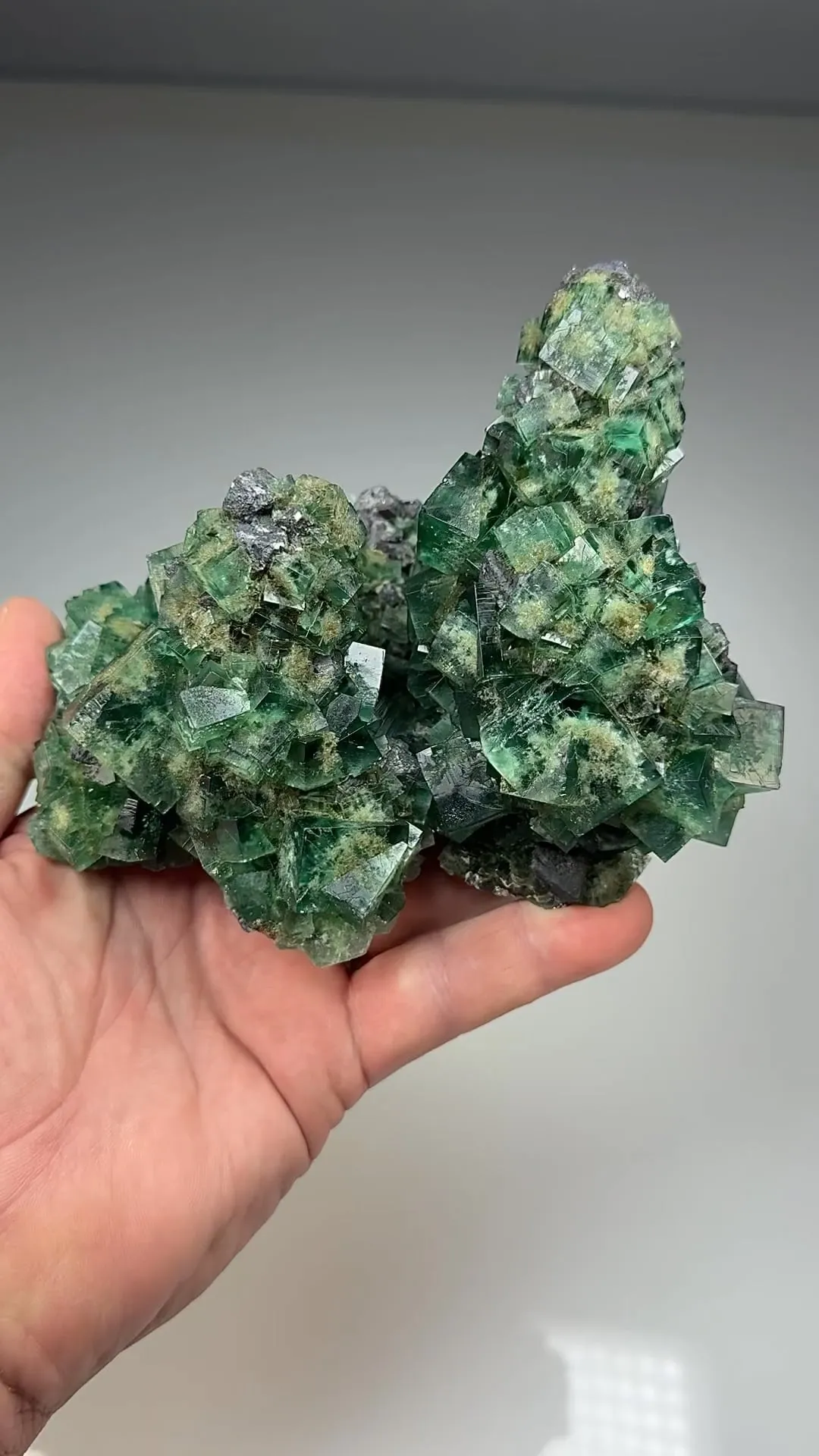 Fluorite with Galena - image 2