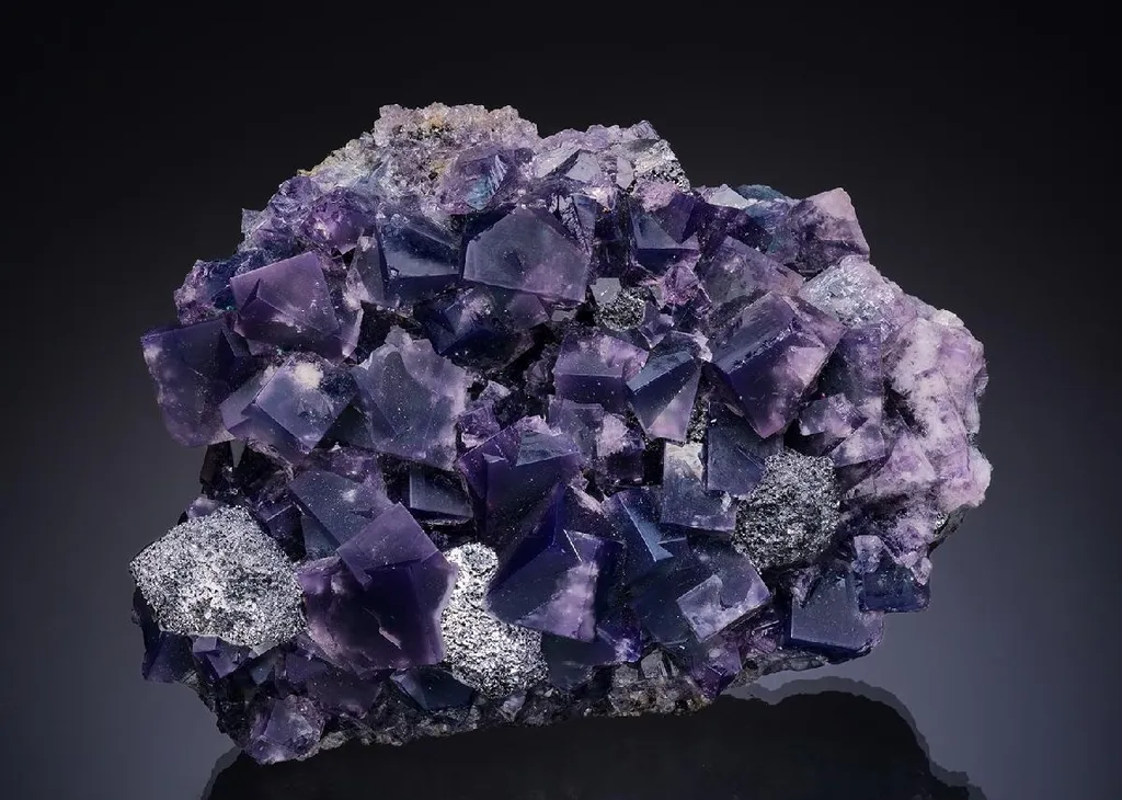 Fluorite with Galena image