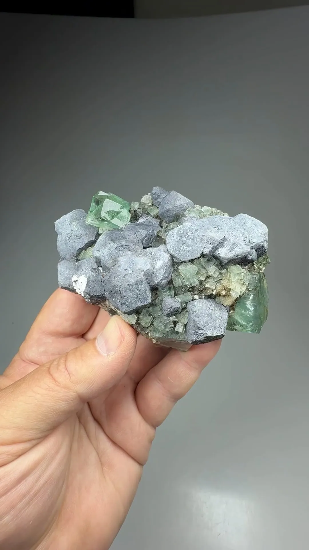Fluorite with Galena - image 2