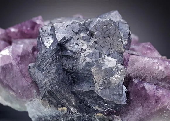 Fluorite with Galena image