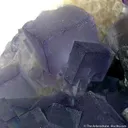 Fluorite With Galena - image 2