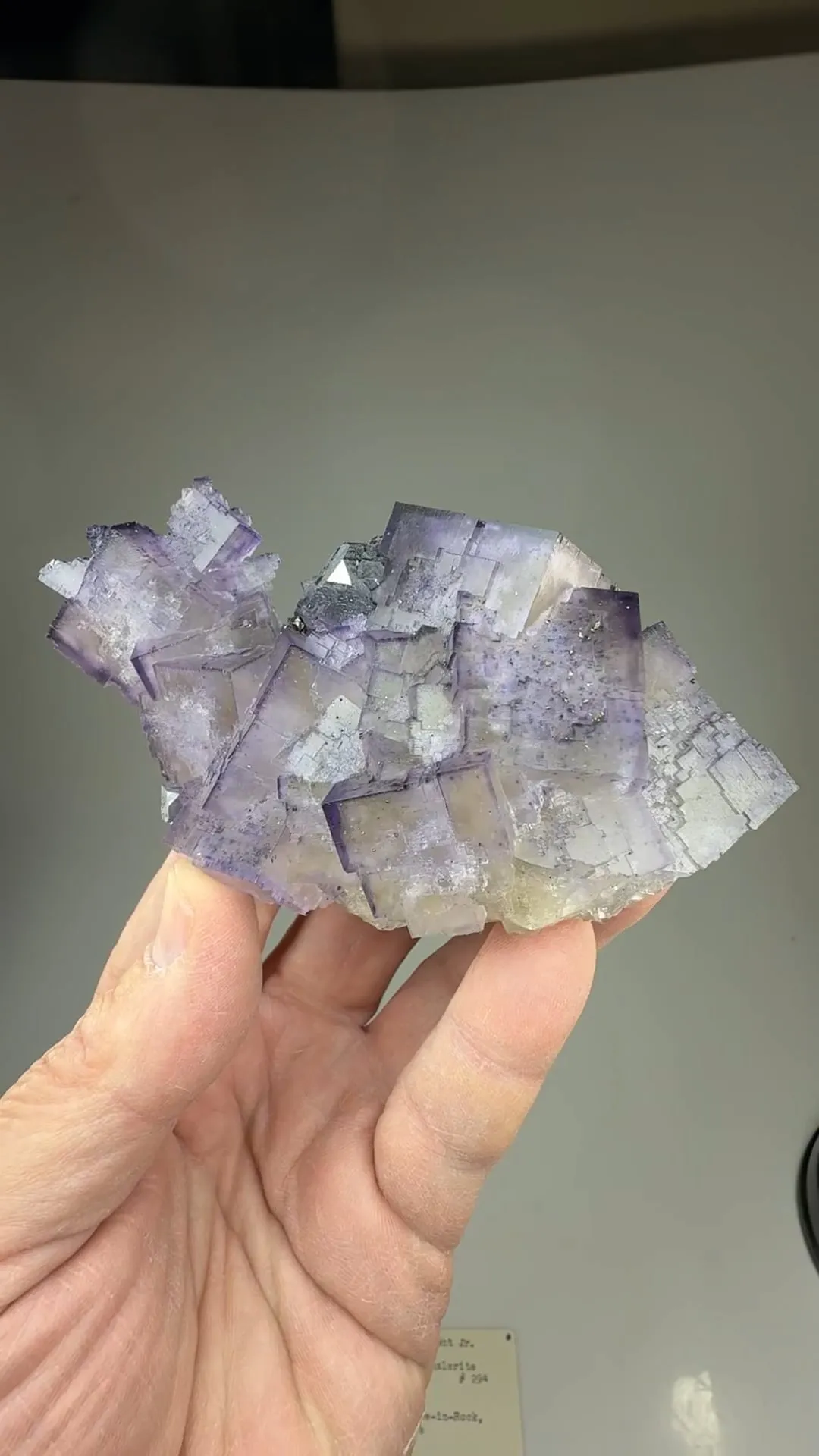 Fluorite with Galena, Sphalerite - image 2