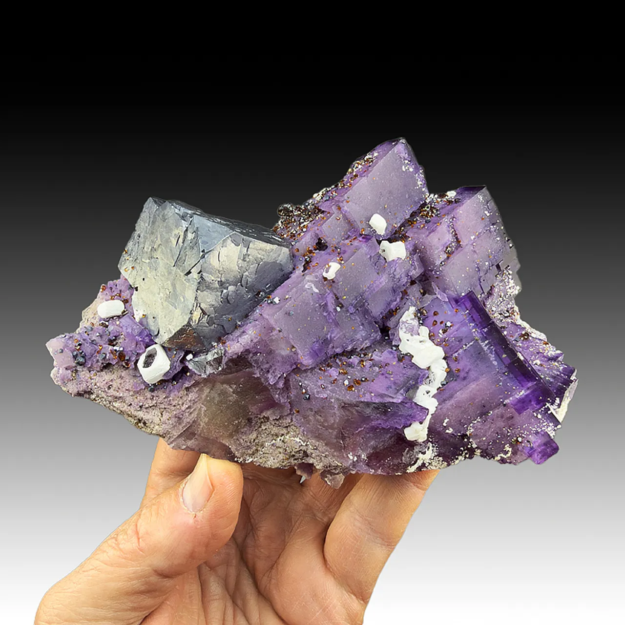 Fluorite with Galena, Sphalerite, casts of Barite after Celestine - image 1