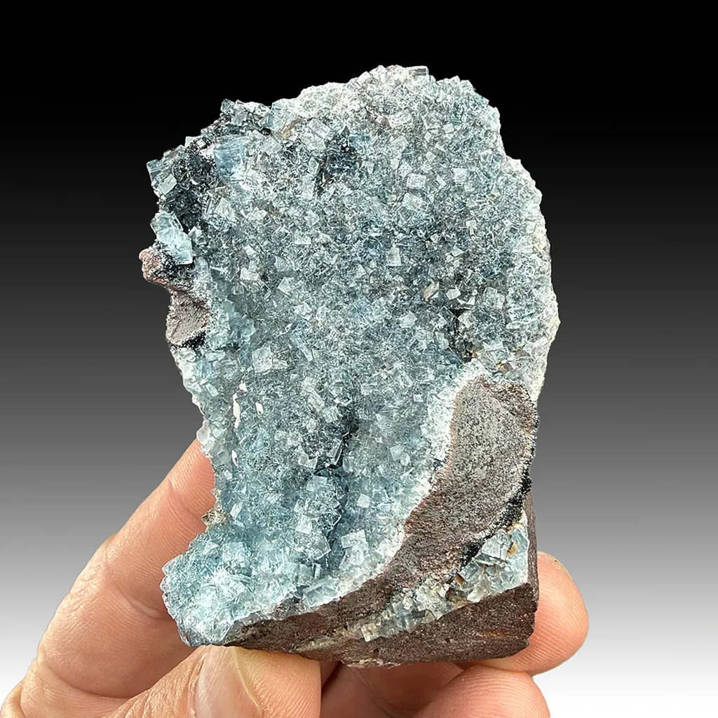 Fluorite with Hematite image