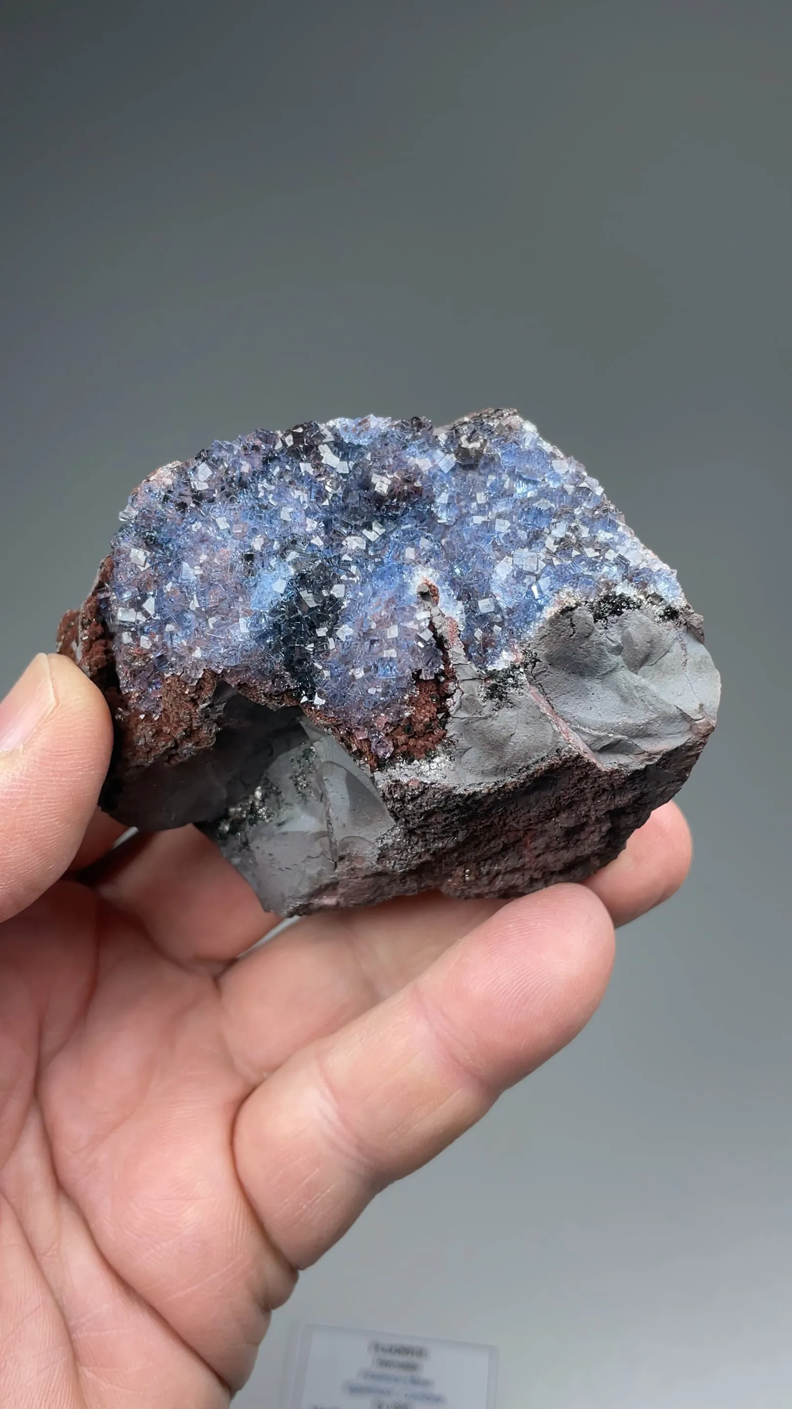 Fluorite with Hematite - image 2