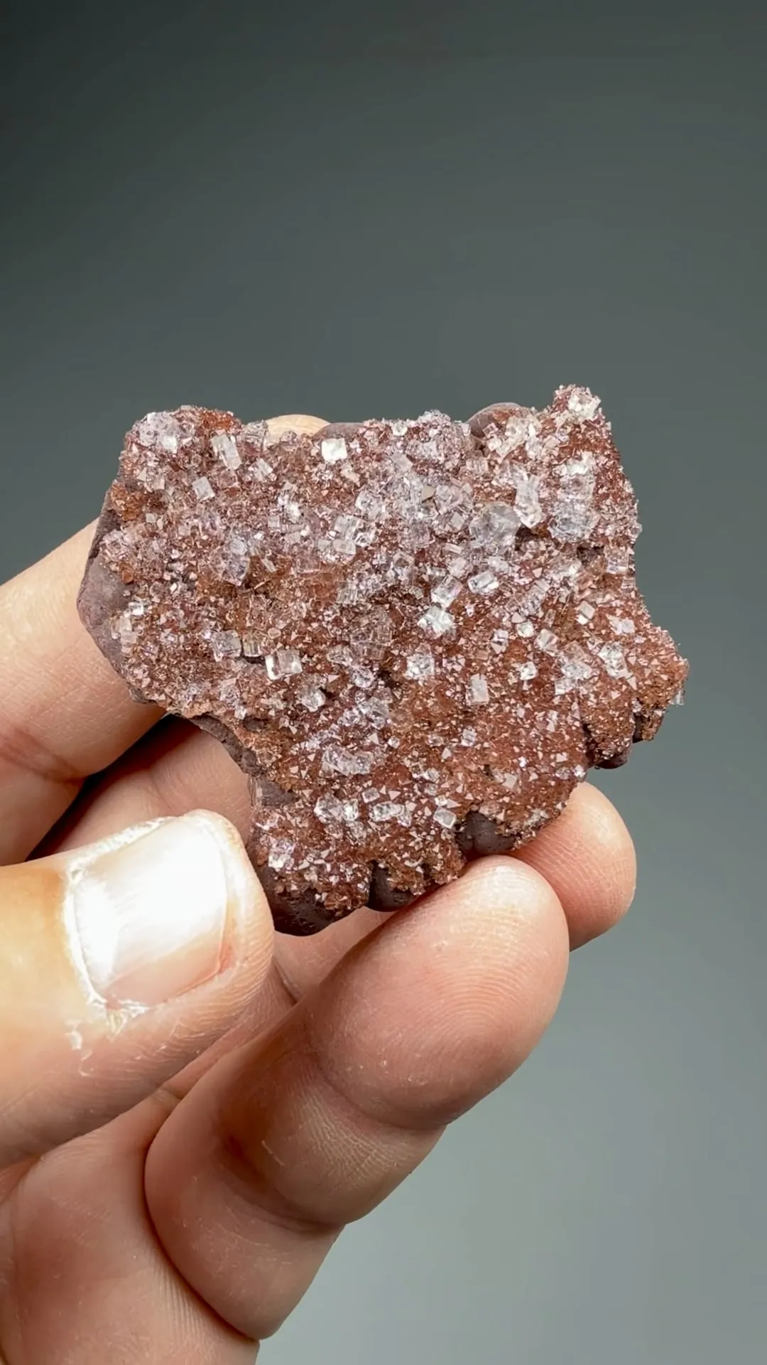 Fluorite with Hematite, Quartz - image 2