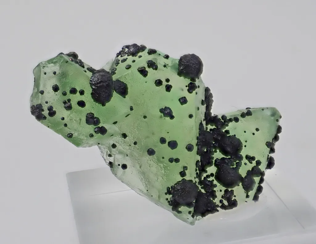 Fluorite with Jordanite image