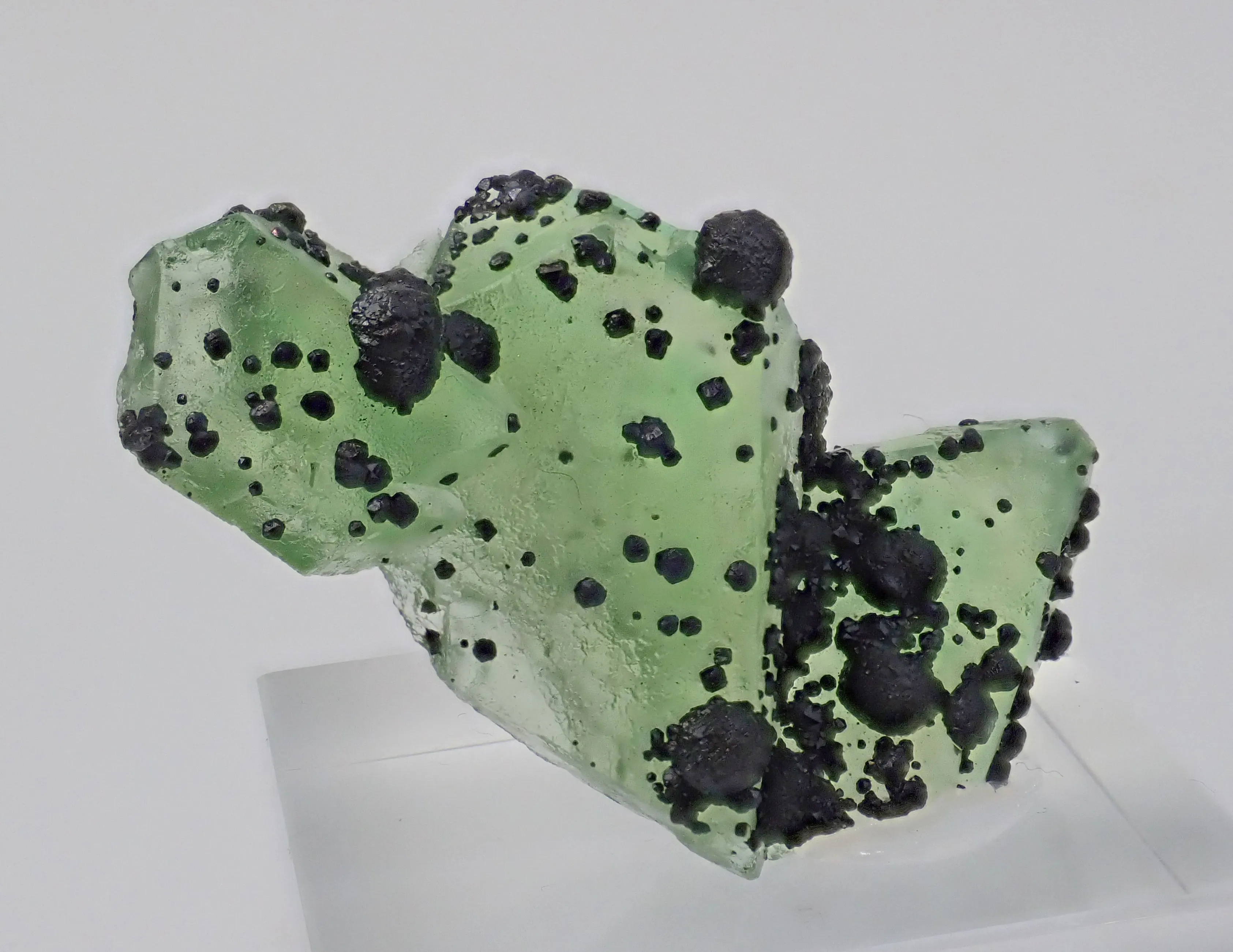 Fluorite with Jordanite - image 1