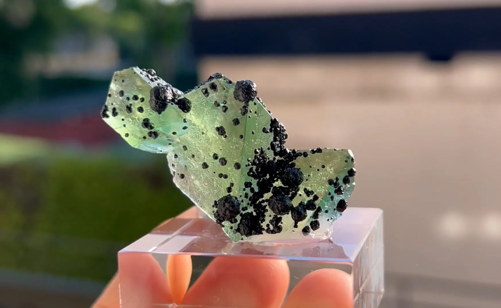 Fluorite with Jordanite - image 4