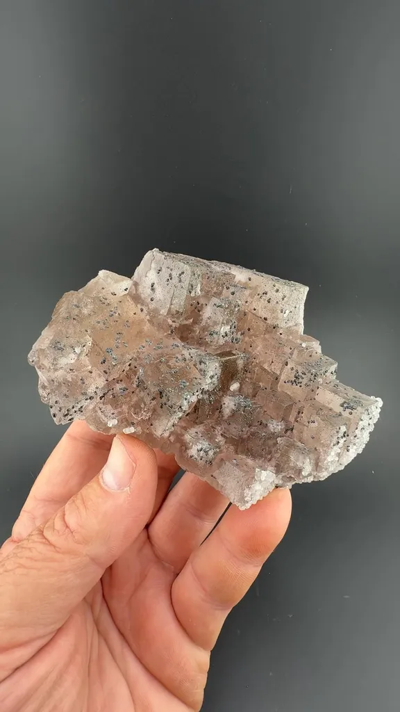 Fluorite with Marcasite image