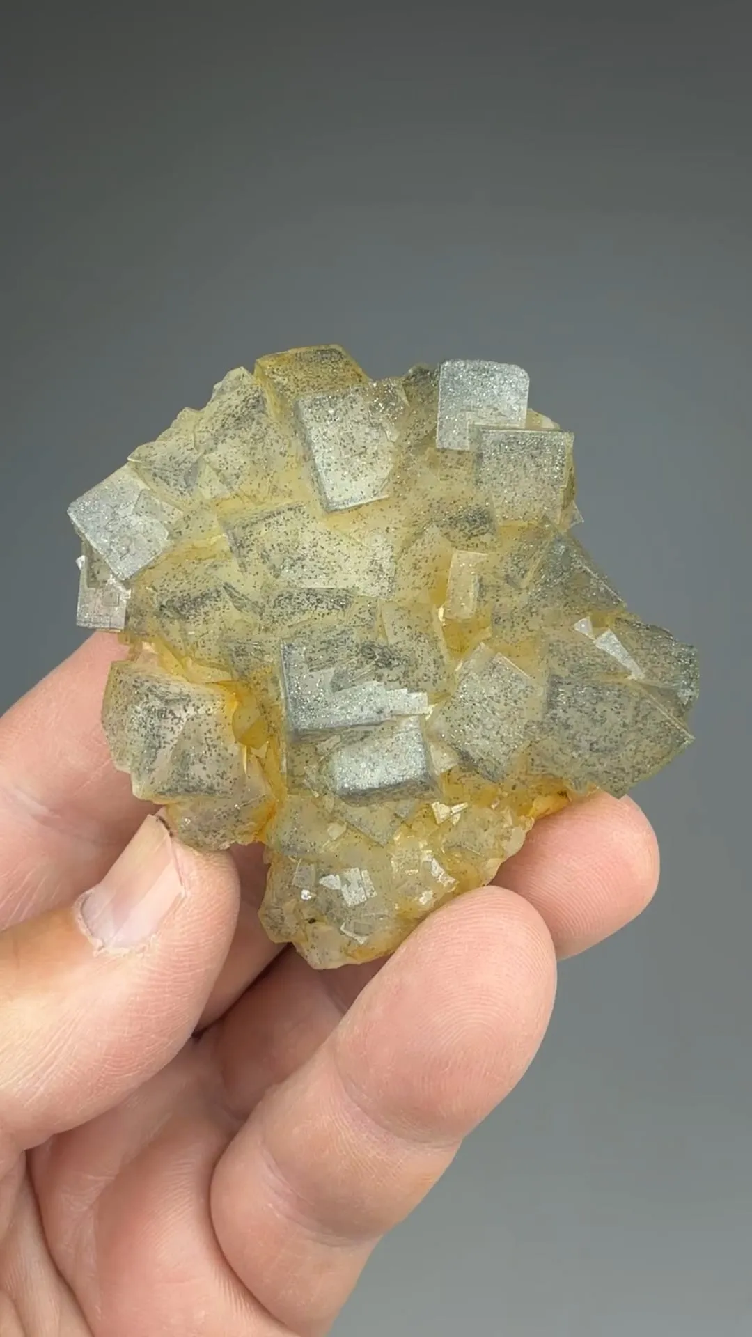 Fluorite with Marcasite - image 2