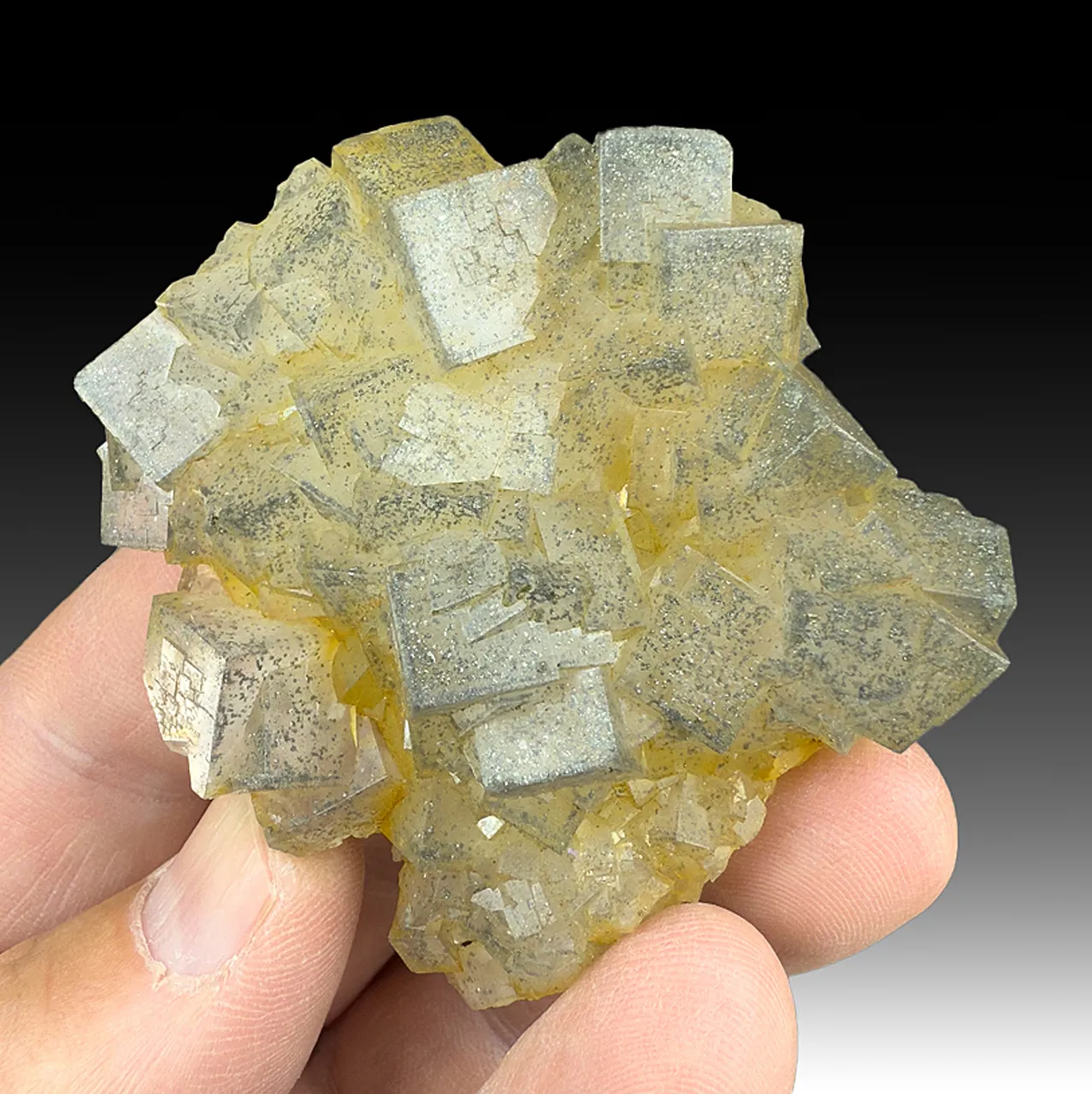 Fluorite with Marcasite - image 1