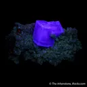 Fluorite with Muscovite - image 5