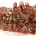 Fluorite With Phantoms - image 5