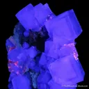 Fluorite (with phantoms) - image 4
