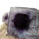 Fluorite With Phantoms - image 2