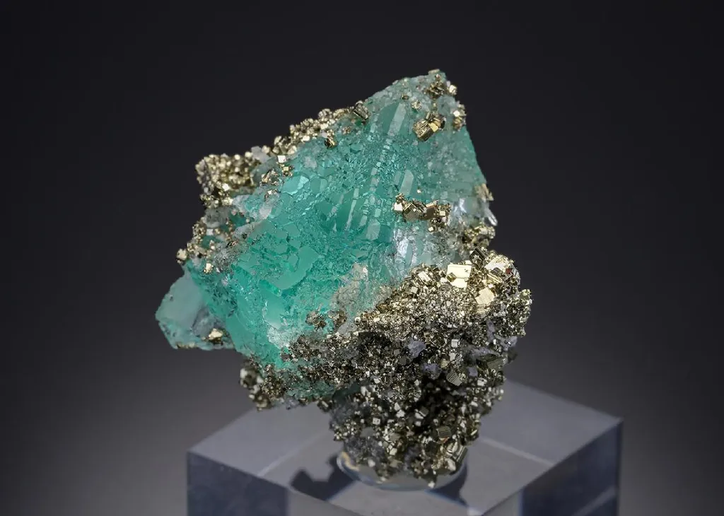 Fluorite with Pyrite image
