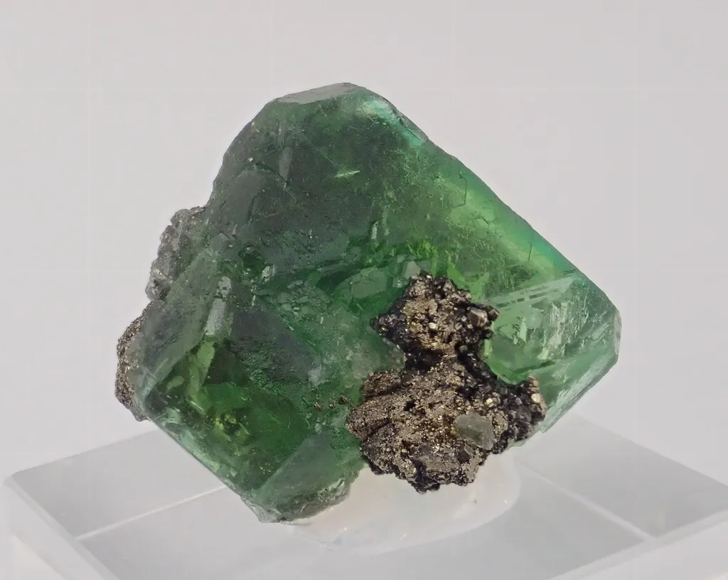 Fluorite with Pyrite image