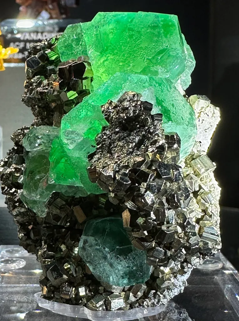Fluorite with Pyrite image