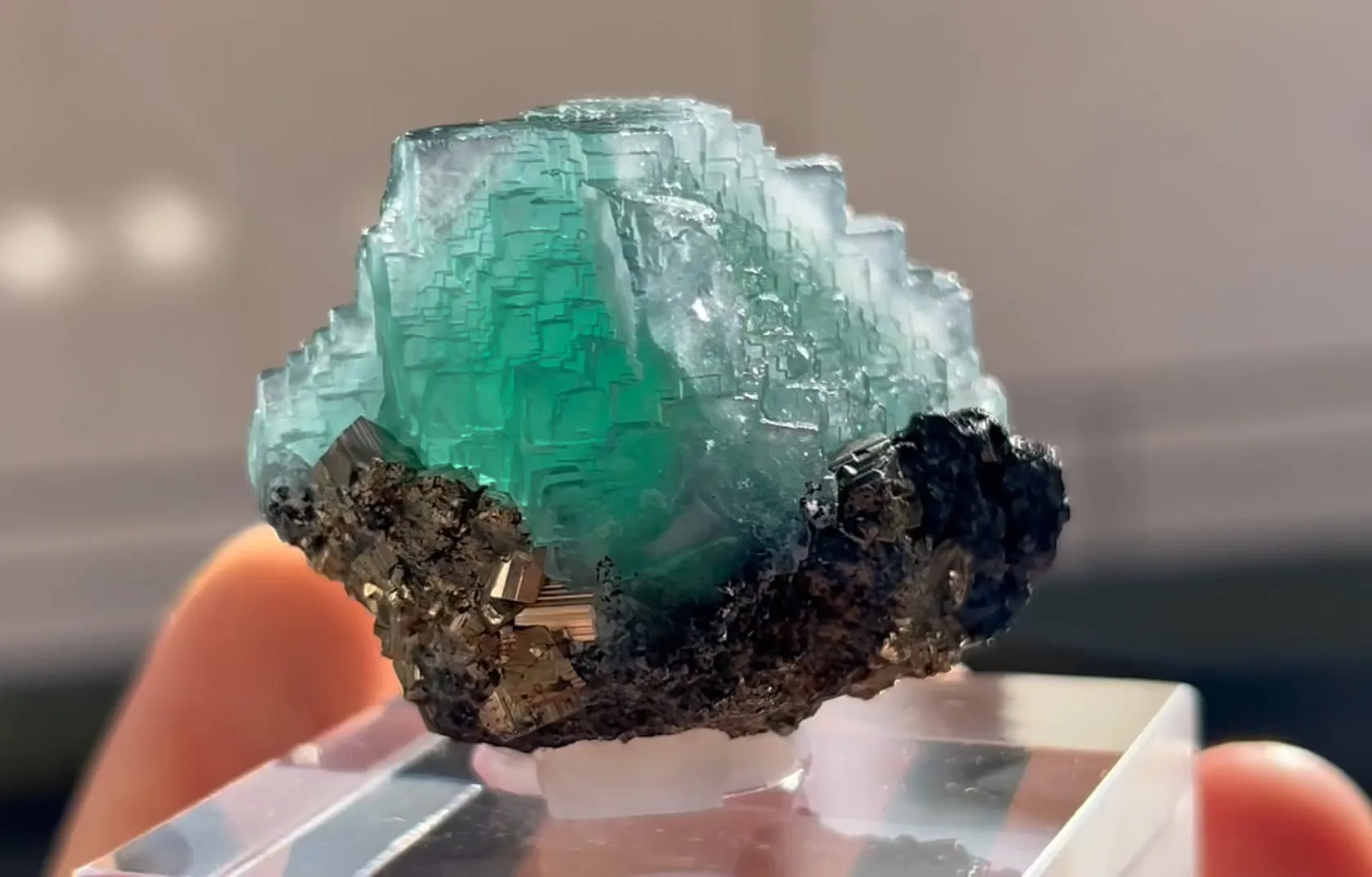 Fluorite with Pyrite - image 7