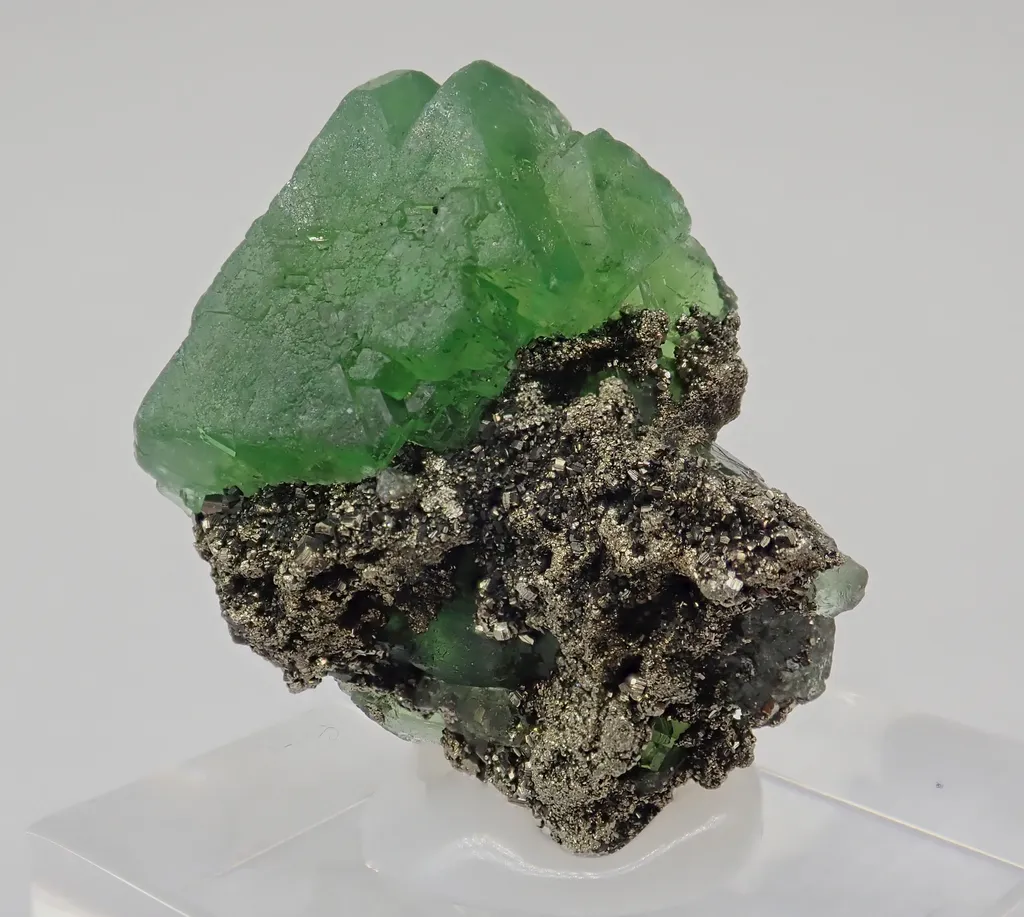 Fluorite with Pyrite image