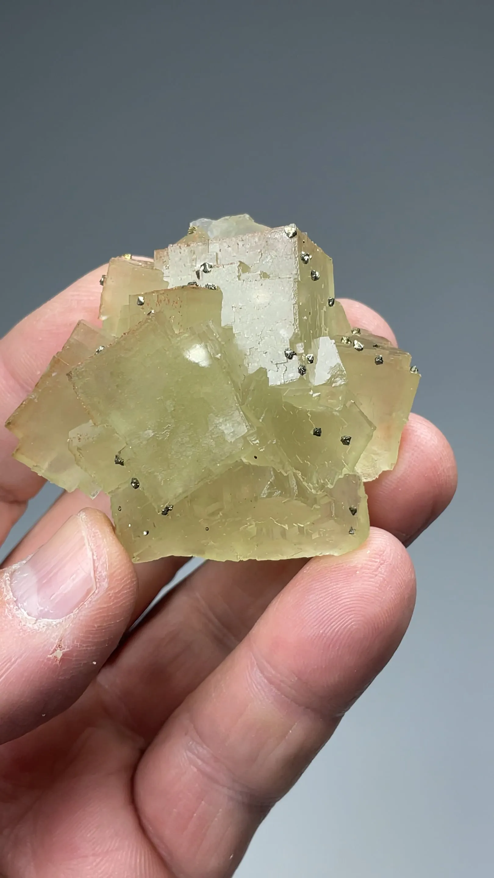 Fluorite with Pyrite - image 2