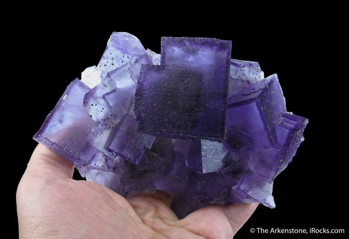 Fluorite With Pyrite - image 5