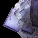 Fluorite With Pyrite - image 4