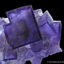 Fluorite With Pyrite - image 2