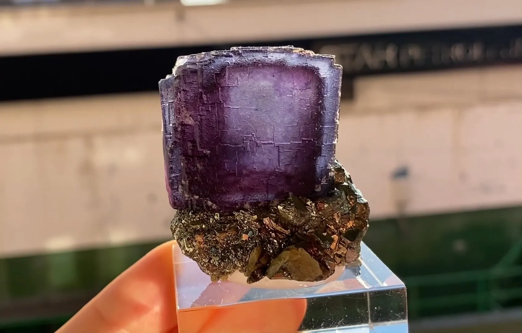 Fluorite with Pyrite - image 5