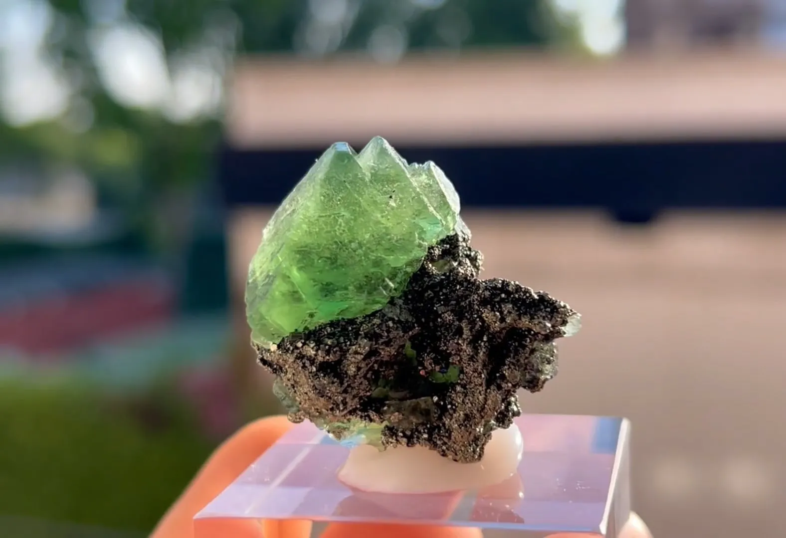 Fluorite with Pyrite - image 7