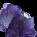 Fluorite With Pyrite - image 3