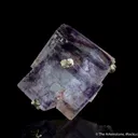 Fluorite with Pyrite - image 3