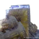 Fluorite With Pyrite and Baryte - image 2