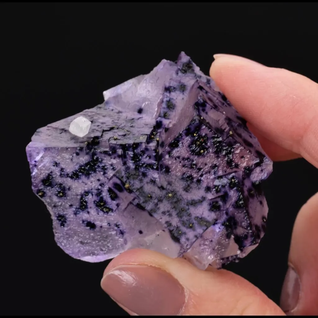 Fluorite with Pyrite and Calcite - image 2