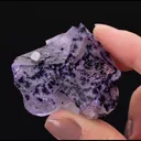 Fluorite with Pyrite and Calcite - image 2